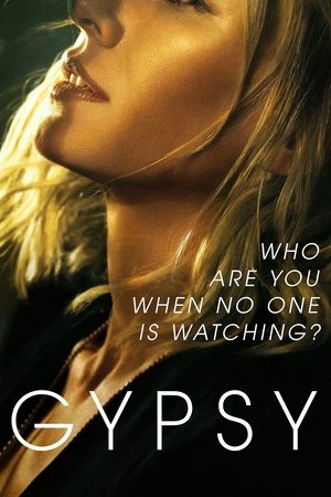 Gypsy: 1×1